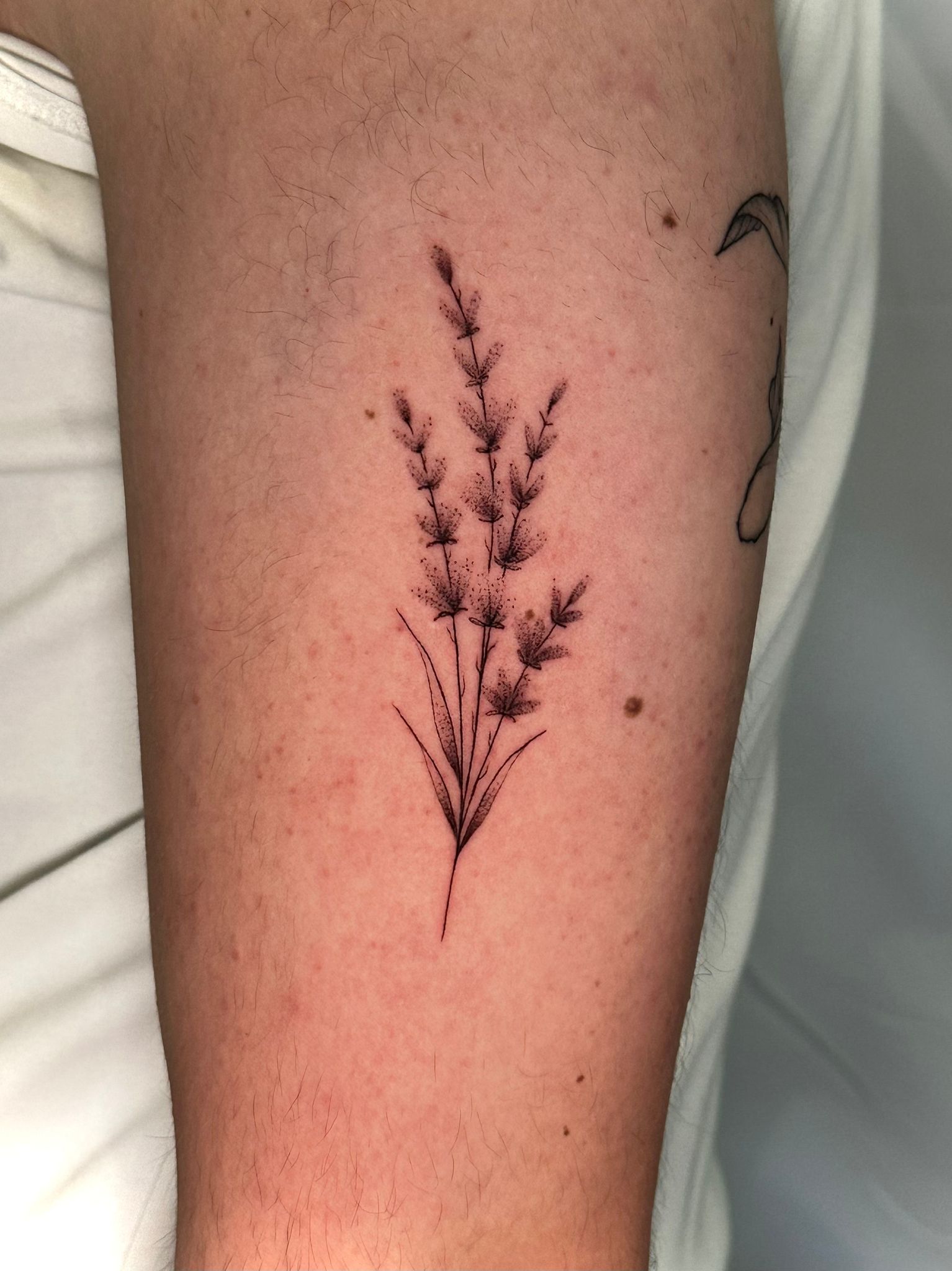 Tatouage fine line par Luluslash — 15