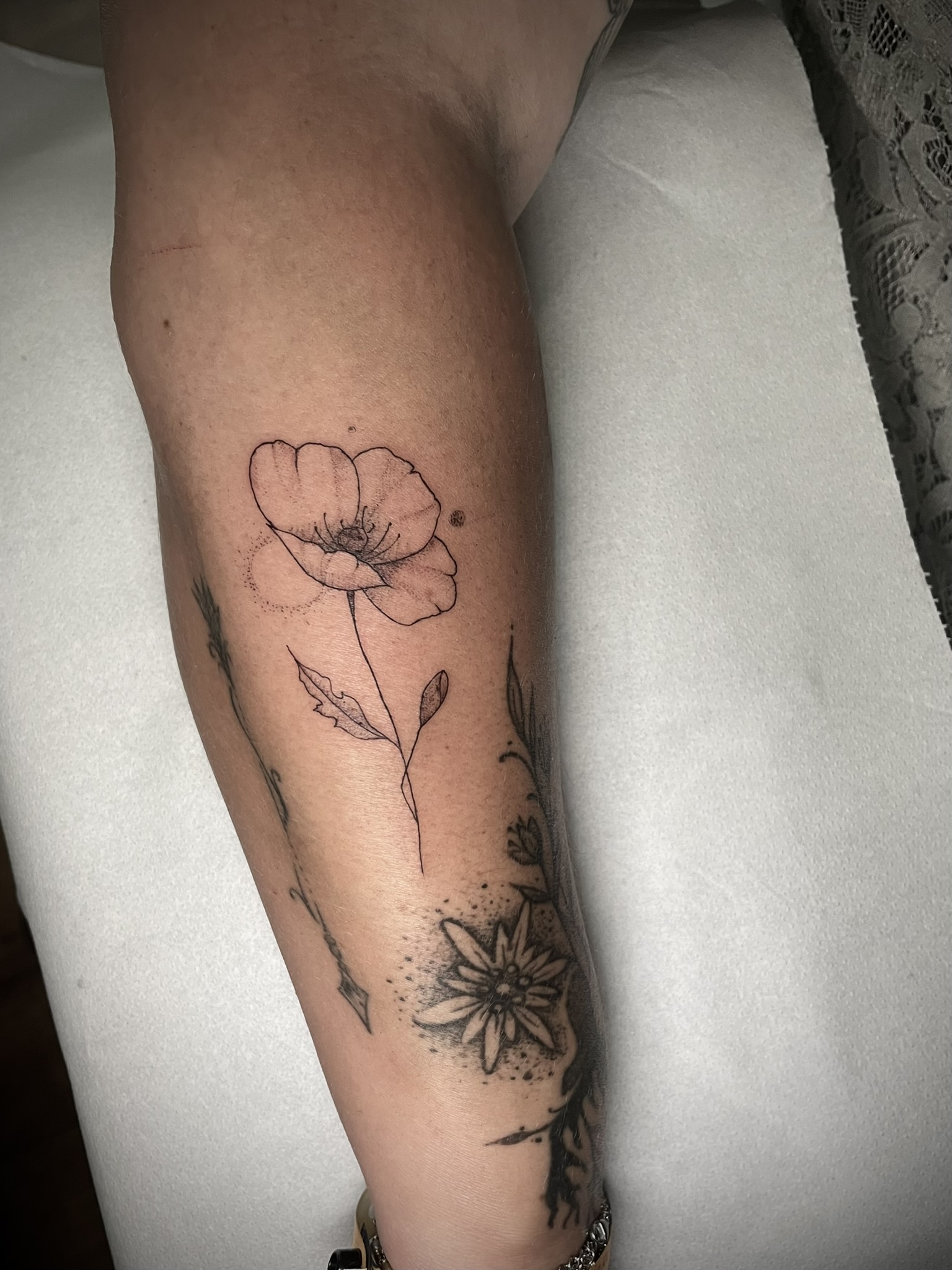 coquelicot