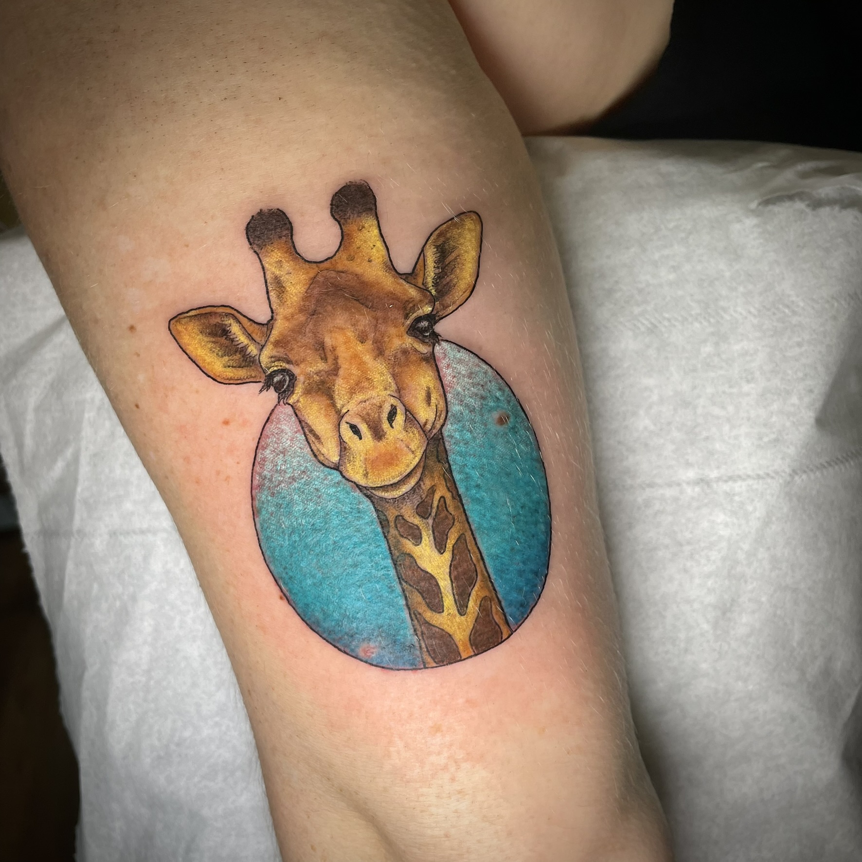 girafe