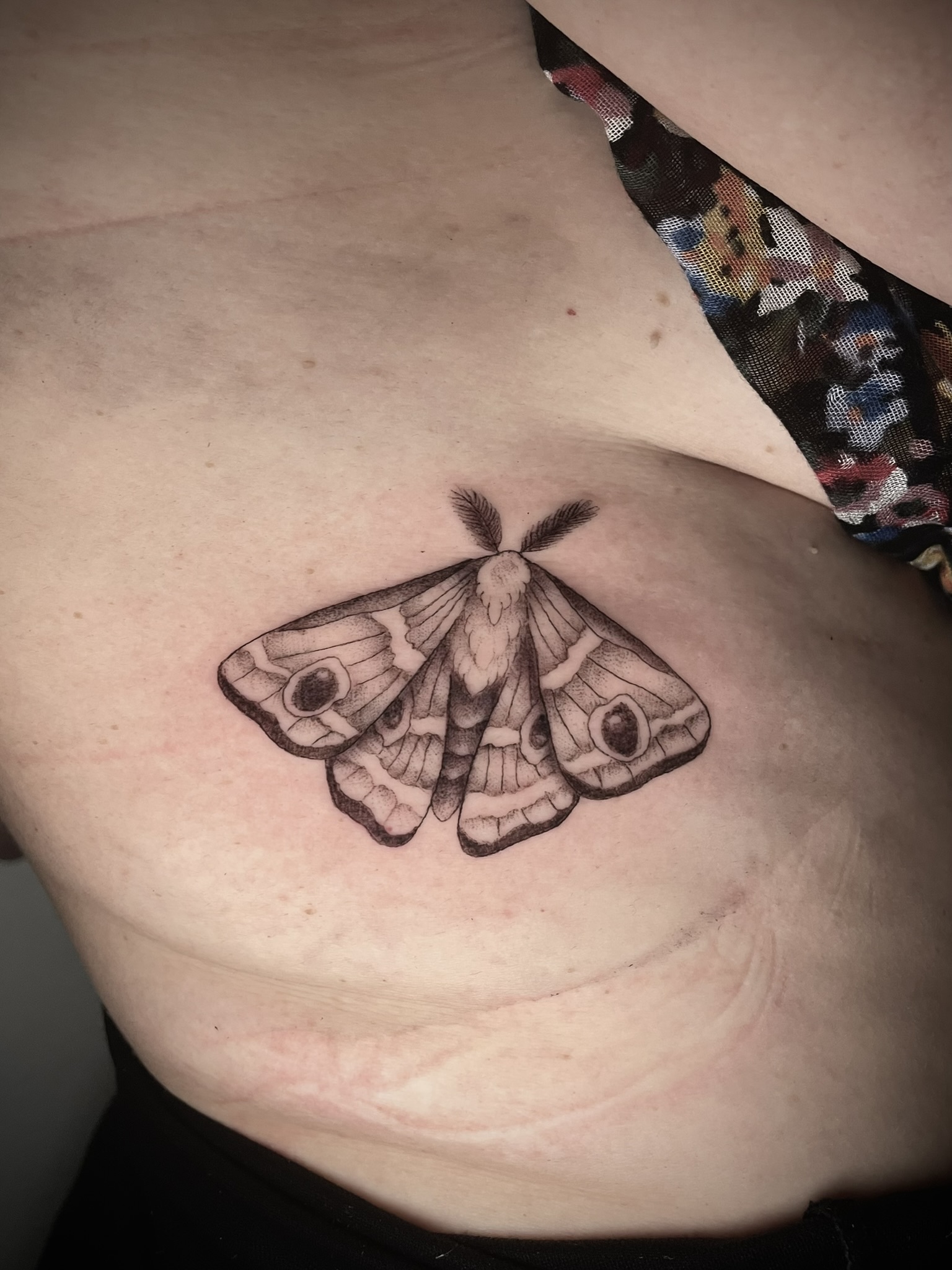 papillon